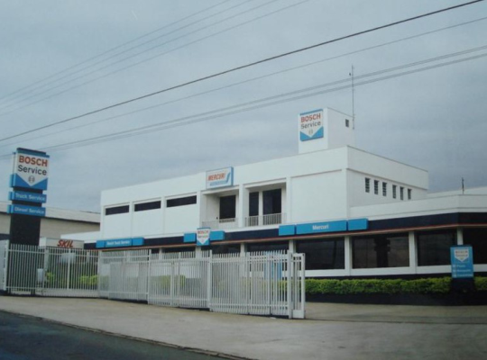 Mercuri2005